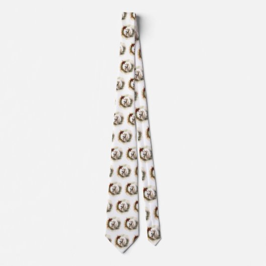 Weihnachtsmann in Afghanistan Krawatte (Vorderseite)