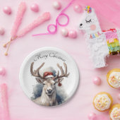 Weihnachtsmann, individuell anpassbar pappteller (Party)