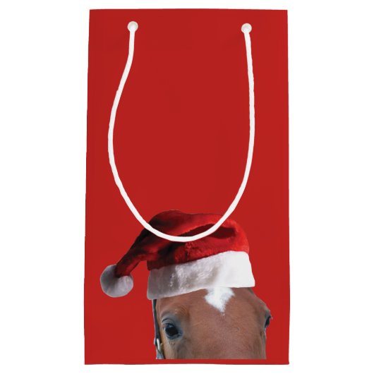 Weihnachtsmann Kleine Geschenktüte (Vorderseite)