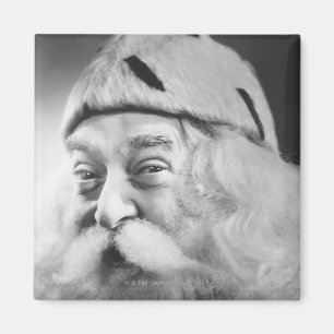 Weihnachtsmann Magnet
