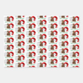 Weihnachtsmann Matte 19" x 29" Geschenkpapier Set (Vorderseite 3)