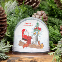 Weihnachtsmann mit Kaninchen Fuchs und Eichhörnche
