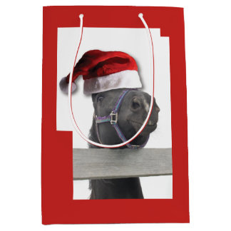 Weihnachtsmann Mittlere Geschenktüte