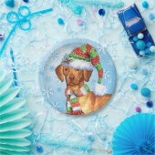 Weihnachtsmann Pappteller (Party)