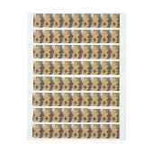 Weihnachtsmann Rundum-Adressaufkleber (Bogen)