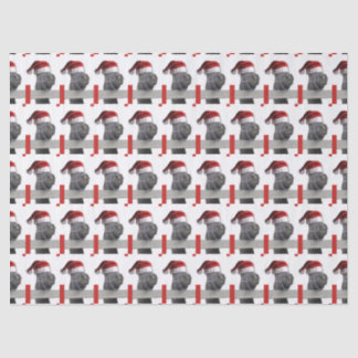 Weihnachtsmann Seidenpapier