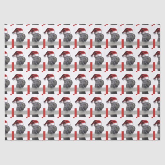 Weihnachtsmann Seidenpapier (Vorderseite)