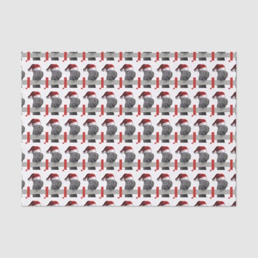 Weihnachtsmann Seidenpapier (Vorderseite)