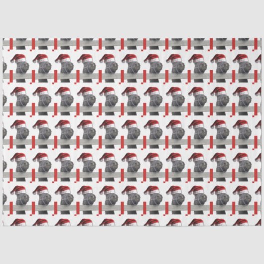 Weihnachtsmann Seidenpapier (Vorderseite)