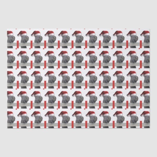 Weihnachtsmann Seidenpapier (Vorderseite)
