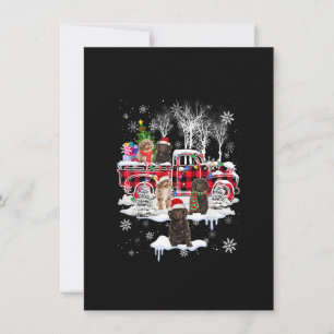 Weihnachtsmann Sproodle mit rotem karierten Pickup Einladung