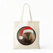 Weihnachtsmann - Tasche des Haushalts