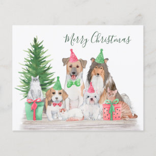 Weihnachtsmänner Katze Welpe Kitten Card