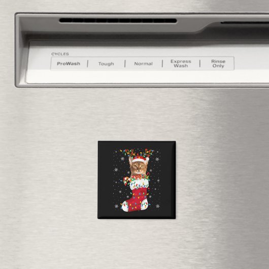 WEIHNACHTSMANNMÜTZE A MAGNET (In Situ (Geschirrspüler))