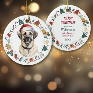 Weihnachtsmannmütze Anatolian Shepherd Dog Weihnac Keramik Ornament