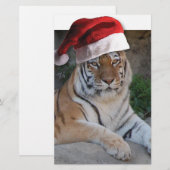 Weihnachtsmannmütze Bengalisch Tiger Briefpapier (Vorne/Hinten)