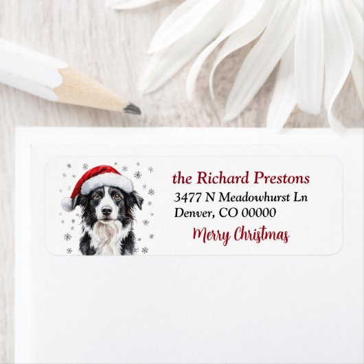 Weihnachtsmannmütze Border Collie Hund Rücksendead (Insitu)