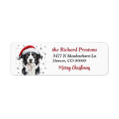 Weihnachtsmannmütze Border Collie Hund Rücksendead (Vorne)
