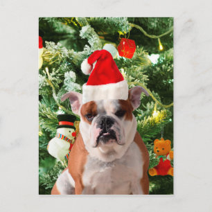 Weihnachtsmannmütze Bulldog Christmas Tree Snowman Feiertagspostkarte