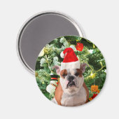 Weihnachtsmannmütze Bulldog Christmas Tree Snowman Magnet (Vorderseite/Rückseite)