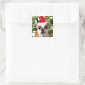 Weihnachtsmannmütze Bulldog Christmas Tree Snowman Quadratischer Aufkleber (Tasche)
