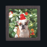 Weihnachtsmannmütze Bulldog Christmas Tree Snowman Schmuckkiste<br><div class="desc">Niedliches Bulldog Foto mit der Weihnachtsbaum Snowman Geschenkboxen im Hintergrund. Ein perfektes Geschenk für Weihnachten!</div>