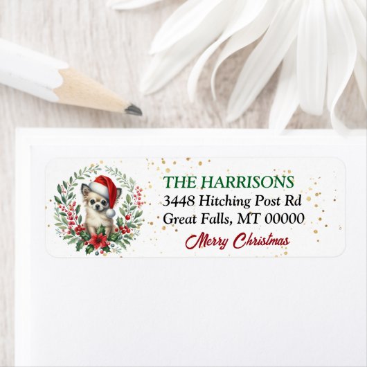 Weihnachtsmannmütze Chihuahua Dog Wreath Weihnacht (Insitu)