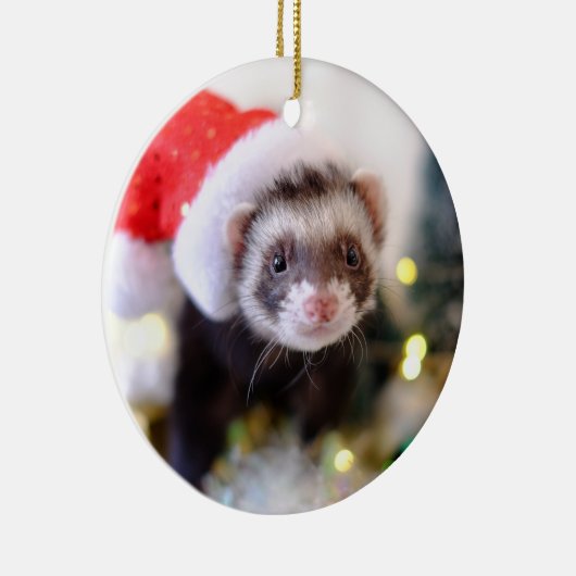 Weihnachtsmannmütze Ferret Weihnachtsschmuck (Rechts)