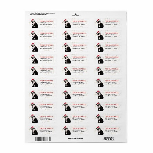 Weihnachtsmannmütze für Schwarz-Weiß-Tuxedo-Katzen (Vorne)