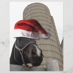 Weihnachtsmannmütze Horsey