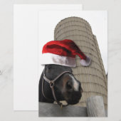 Weihnachtsmannmütze Horsey Briefpapier (Vorne/Hinten)