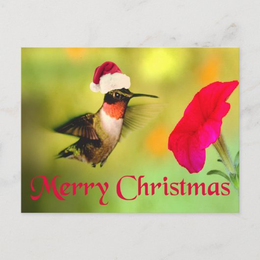Weihnachtsmannmütze Hummingbird Weihnachten (Vorderseite)
