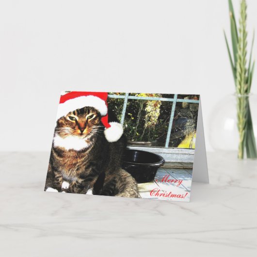 WEIHNACHTSMANNMÜTZE II FEIERTAGSKARTE (Vorderseite)