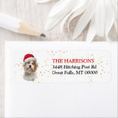 Weihnachtsmannmütze Shih Tzu Dog Rücksendeadresse (Insitu)