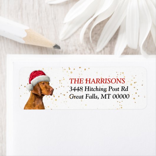 Weihnachtsmannmütze Vizsla-Hund Rücksendeadresse (Insitu)
