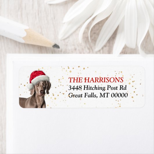 Weihnachtsmannmütze Weimaraner Hund Rücksendeadres (Insitu)