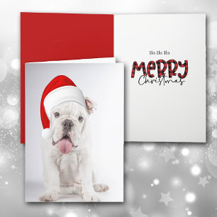 Weihnachtsmannmütze White Bulldog Welpe Weihnachts Feiertagskarte