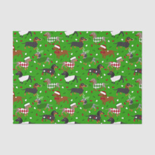 Weihnachtsmäntel Dackel Seidenpapier