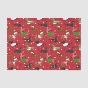 Weihnachtsmäntel Dackel Seidenpapier