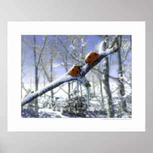 Weihnachtsmarienkäfer Poster