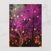 Weihnachtsmarkt-Lichter in Köln Postkarte (Vorderseite)