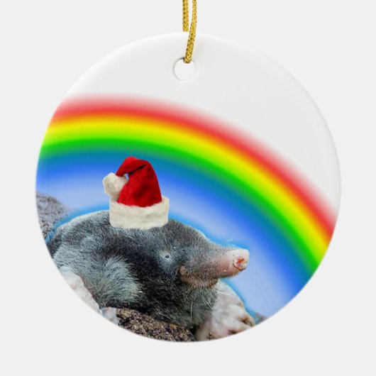 Weihnachtsmaulwurf Keramik Ornament (Vorne)