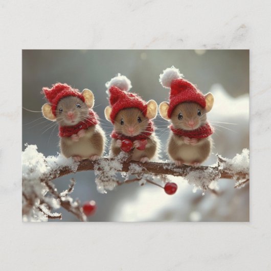 Weihnachtsmäuse Postkarte (Vorderseite)