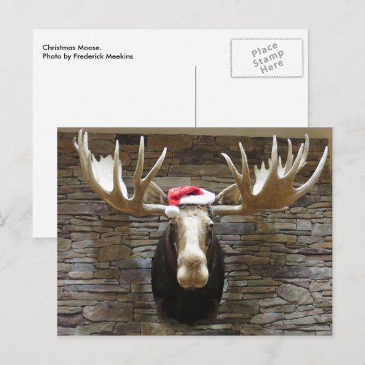 Weihnachtsmoose Feiertagspostkarte (Vorne/Hinten)