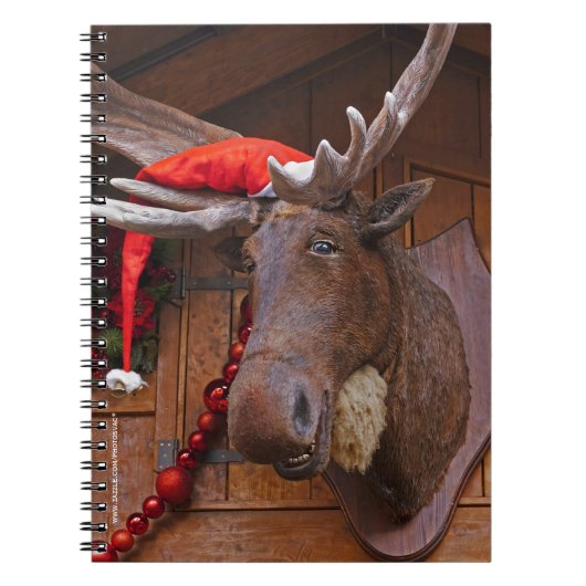 Weihnachtsmoose Notizblock (Vorderseite)