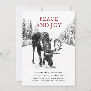 Weihnachtsmoose Winter Snow Peace Gedicht Holiday Feiertagskarte