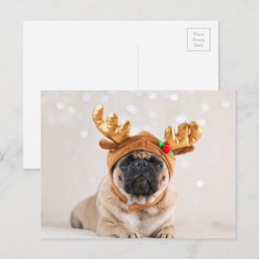 WeihnachtsMops Feiertagspostkarte (Vorne/Hinten)