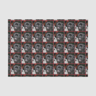 WeihnachtsMopshundeseidenpapier Seidenpapier