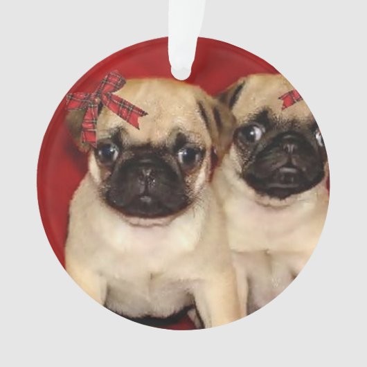 WeihnachtsMopswelpen Ornament (Vorderseite)