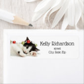 Weihnachtsmorgen Kitten (Insitu)